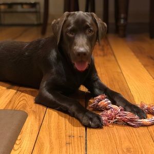 Meet your Posher, Brieanna